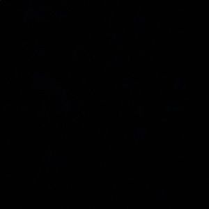 Meet your Posher, Ayah